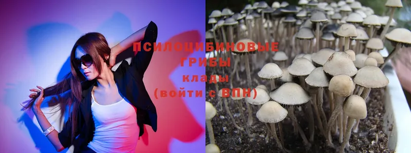 это телеграм  Сыктывкар  Псилоцибиновые грибы Magic Shrooms 